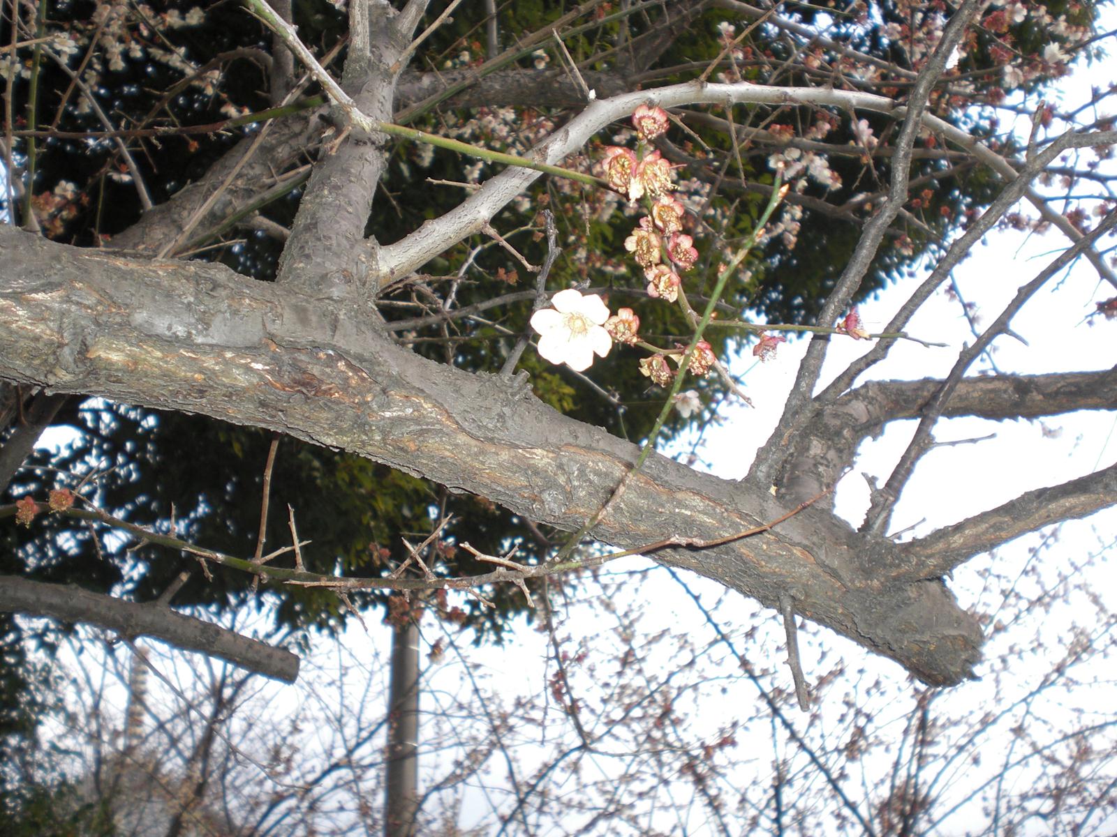 c0125356_20231227.jpg