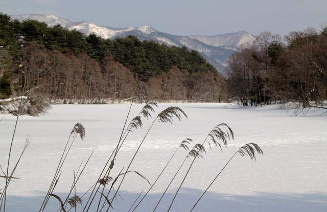 b0242358_21224710.jpg