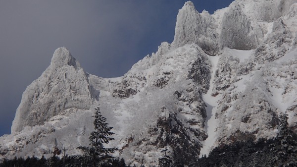 b0050067_1213315.jpg