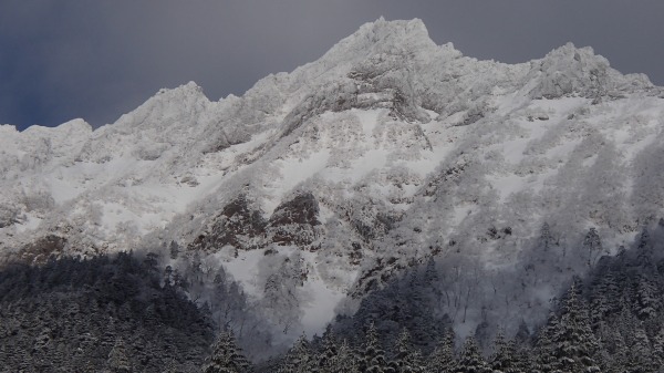 b0050067_1221493.jpg