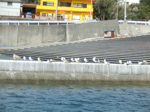 e0292172_20332936.jpg