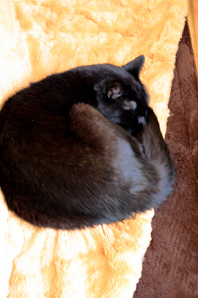 e0137277_6101610.jpg