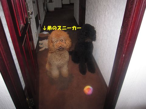 c0283778_16102576.jpg
