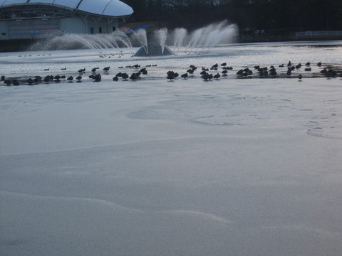 c0283778_16104270.jpg