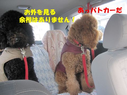 c0283778_1610519.jpg