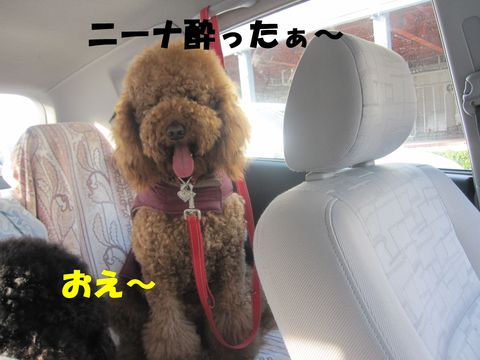 c0283778_16105289.jpg