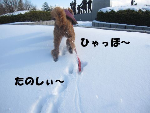 c0283778_16105357.jpg