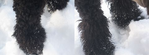 c0283778_16105494.jpg