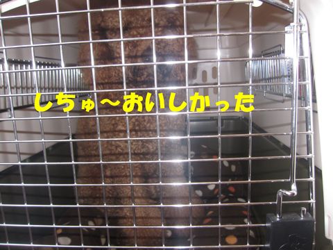 c0283778_1611038.jpg