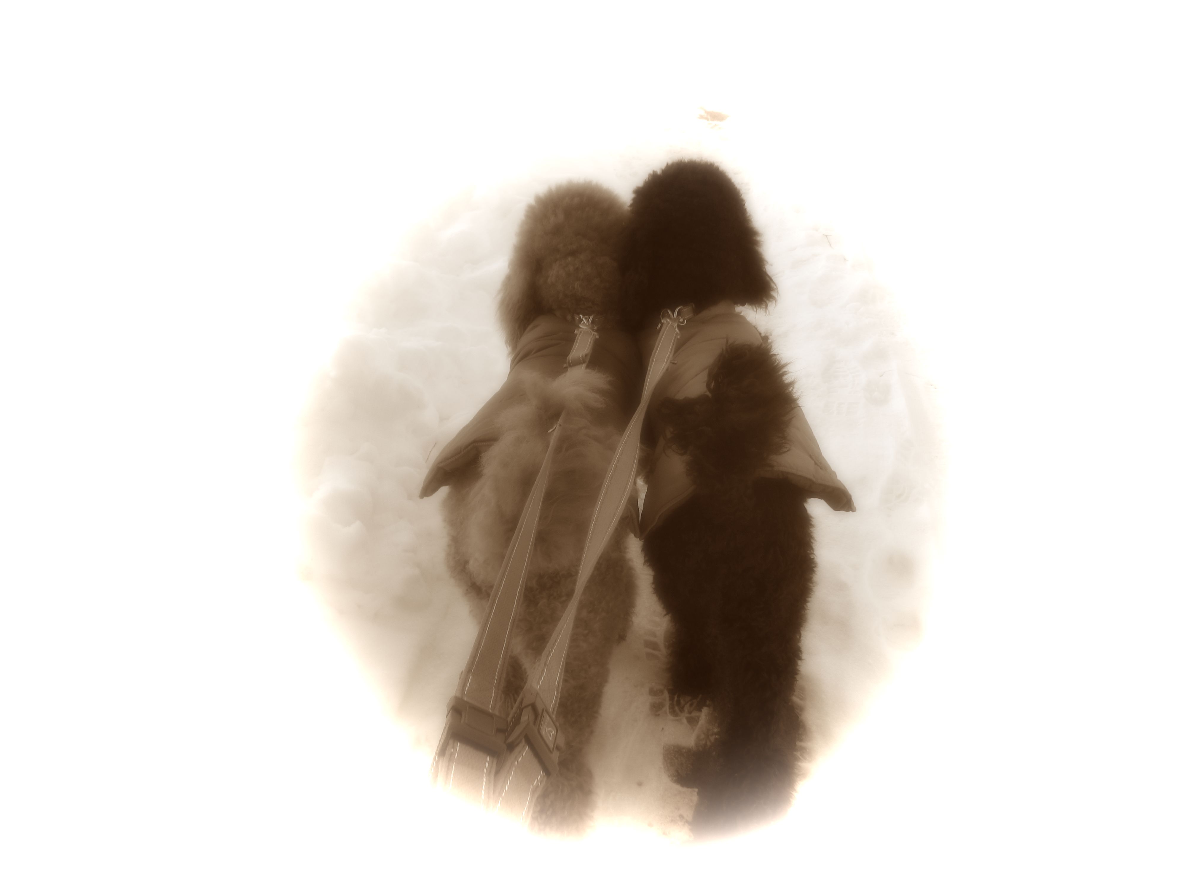 c0283778_16111113.jpg