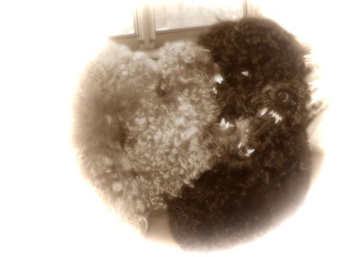 c0283778_1611129.jpg