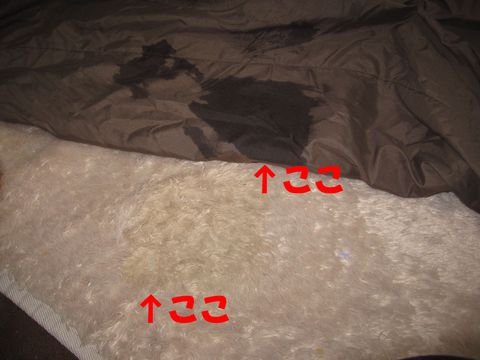 c0283778_16112155.jpg