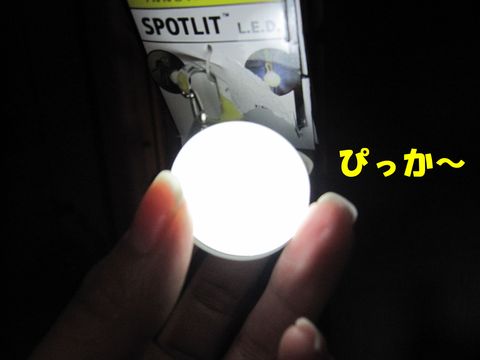 c0283778_16112315.jpg