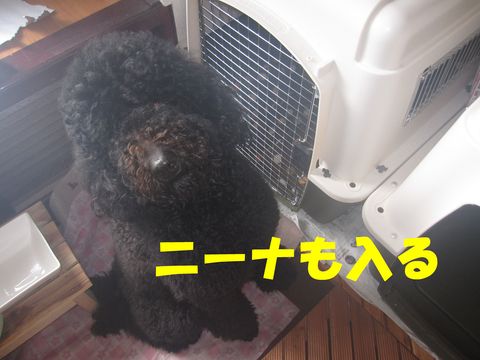 c0283778_1611266.jpg