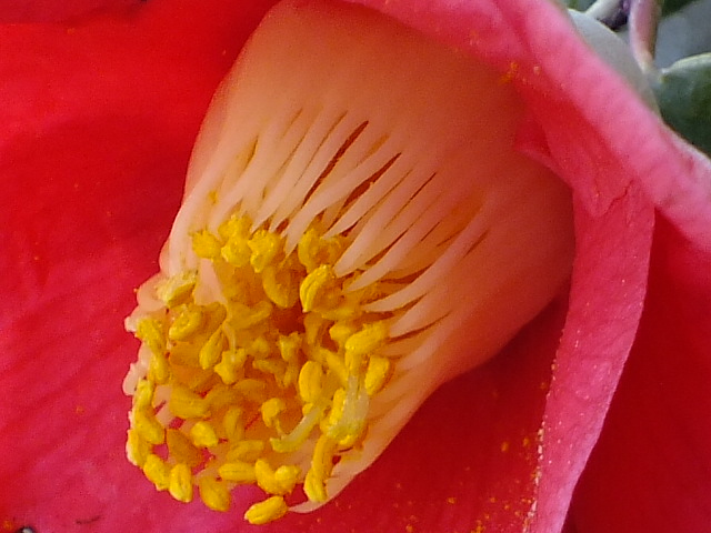 e0145782_6152726.jpg