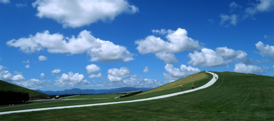 a0216086_11595054.jpg