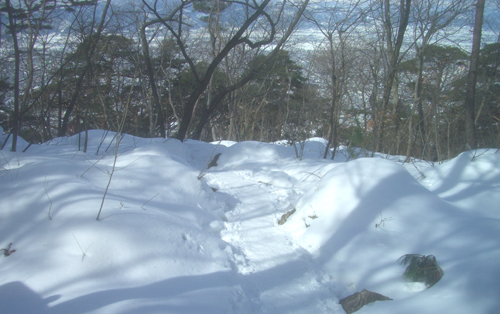 b0099994_11211137.jpg