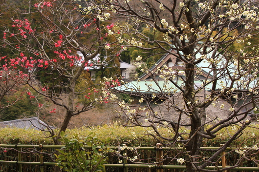 d0025894_052229.jpg