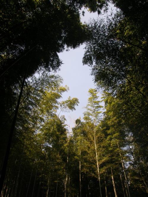 e0017396_20115862.jpg