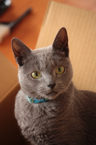 d0001008_1436288.jpg