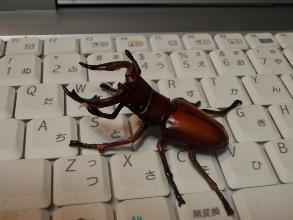 c0062511_23234768.jpg
