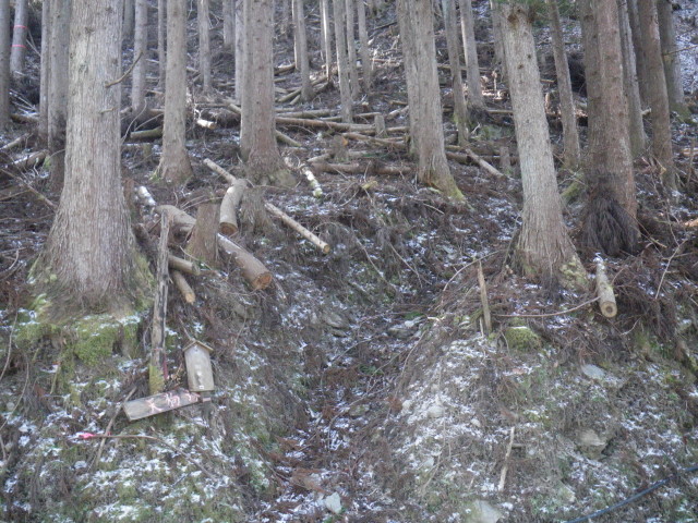 d0006512_16364525.jpg