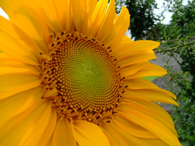 c0289013_1315778.jpg
