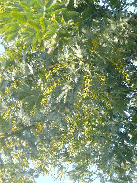 e0026017_10493565.jpg