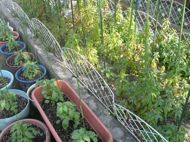 e0026017_10521984.jpg