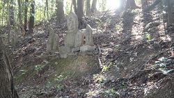 f0000521_7263091.jpg