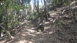 f0000521_7265246.jpg