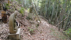 f0000521_728120.jpg