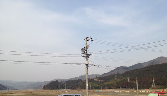 c0061727_1803362.jpg