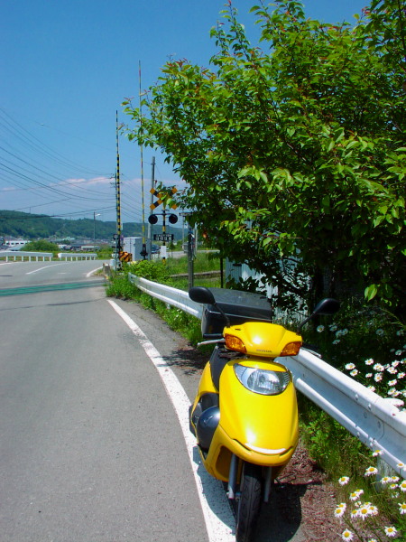 c0281841_12121142.jpg