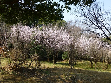 f0107145_22262412.jpg