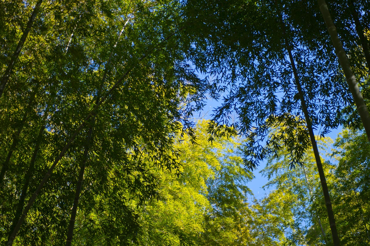 b0023047_5113514.jpg