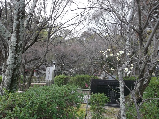 a0237349_155139100.jpg