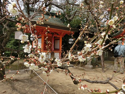 d0138650_1949440.jpg