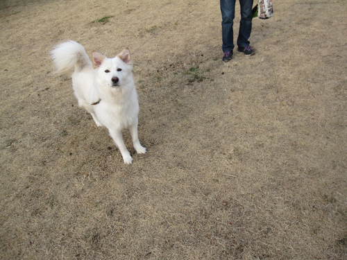 f0245650_8143154.jpg