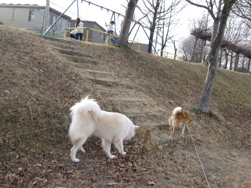 f0245650_86273.jpg