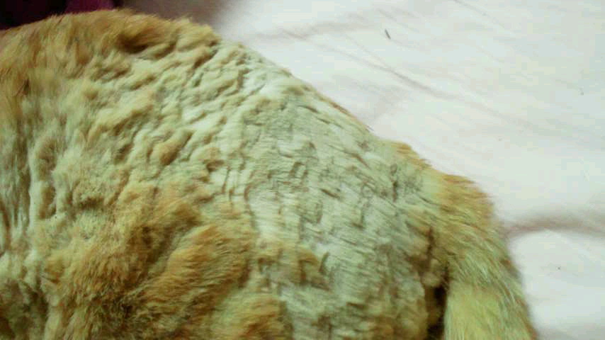 a0267766_8512694.jpg