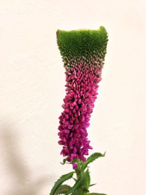 e0242868_21254658.jpg