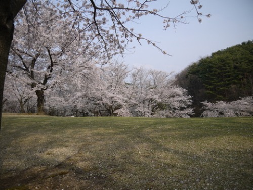 c0283778_1611097.jpg