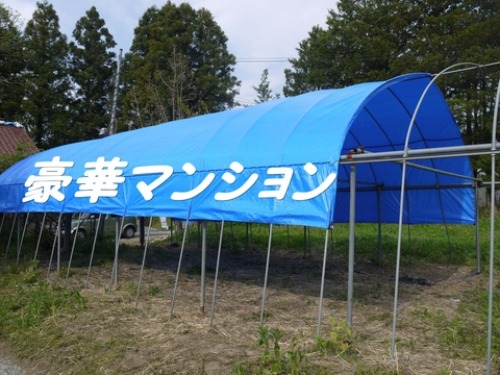 c0283778_17111218.jpg