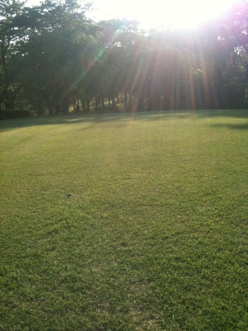 c0283778_17112947.jpg