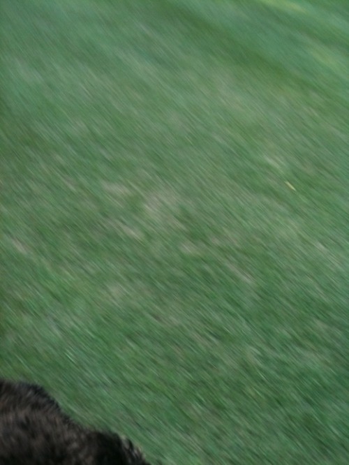 c0283778_17113083.jpg