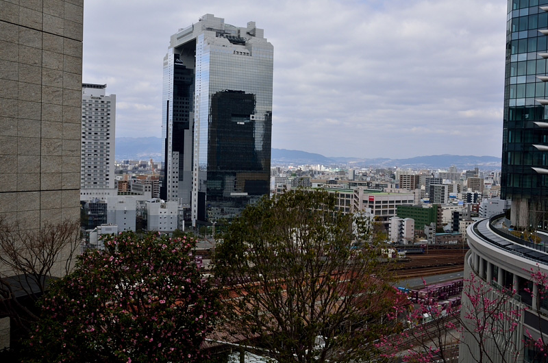 f0108478_11315091.jpg