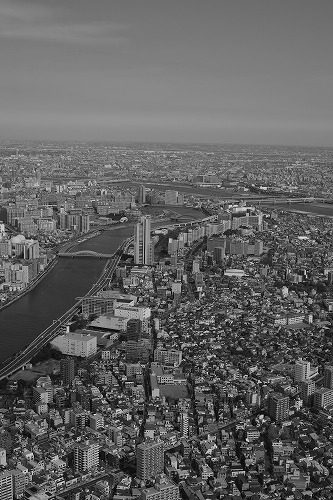 b0119493_12353732.jpg