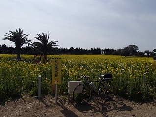 c0187298_22138.jpg
