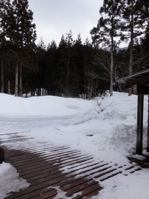 a0061599_7203885.jpg
